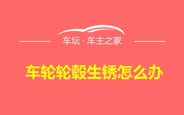 车轮轮毂生锈怎么办 车坛 车轮轮毂生锈怎么办 车坛