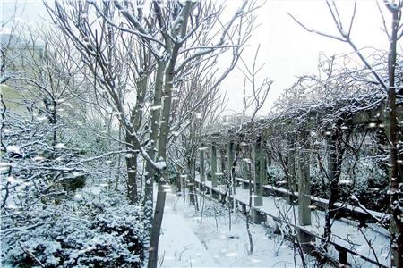 黑龙江-雪的故乡