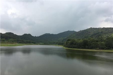 广州黄山鲁森林公园
