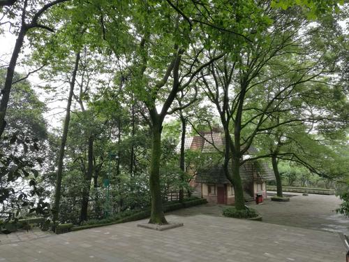 重庆歌乐山森林公园