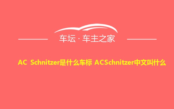 AC Schnitzer是什么车标 ACSchnitzer中文叫什么