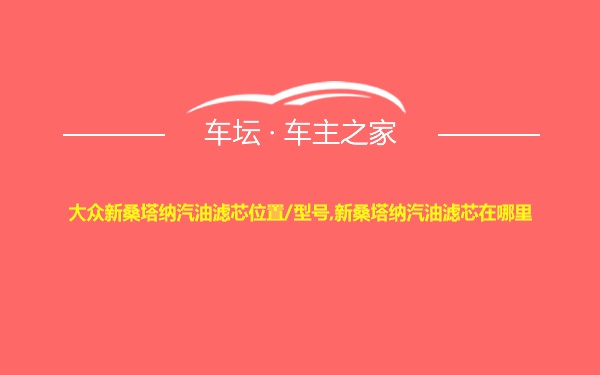 大众新桑塔纳汽油滤芯位置/型号,新桑塔纳汽油滤芯在哪里