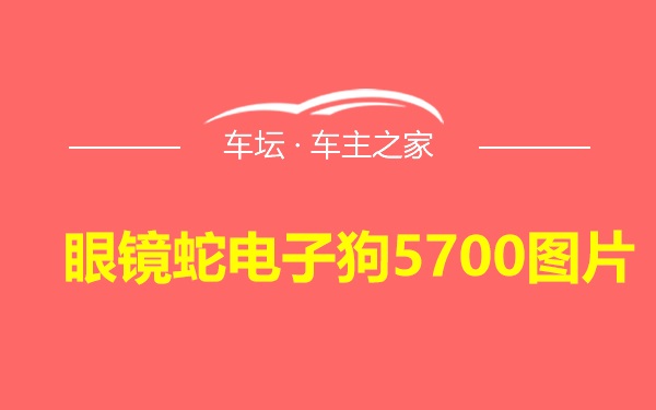 眼镜蛇电子狗5700图片