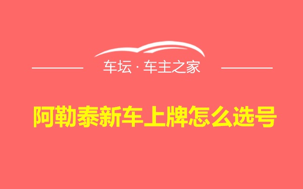 阿勒泰新车上牌怎么选号