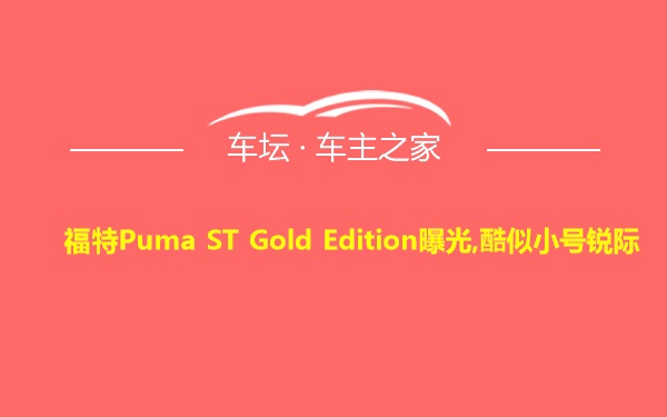 福特Puma ST Gold Edition曝光,酷似小号锐际