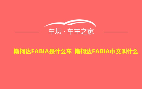 斯柯达FABIA是什么车 斯柯达FABIA中文叫什么