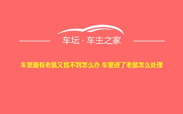 车里面有老鼠又找不到怎么办 车里进了老鼠怎么处理