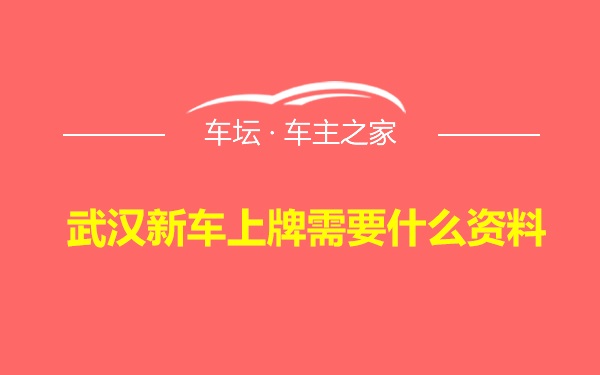 武汉新车上牌需要什么资料