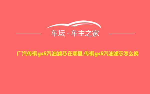 广汽传祺gs5汽油滤芯在哪里,传祺gs5汽油滤芯怎么换