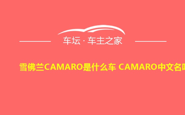 雪佛兰CAMARO是什么车 CAMARO中文名叫啥
