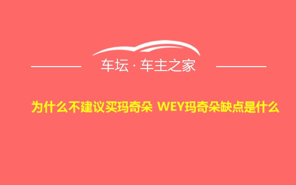 为什么不建议买玛奇朵 WEY玛奇朵缺点是什么