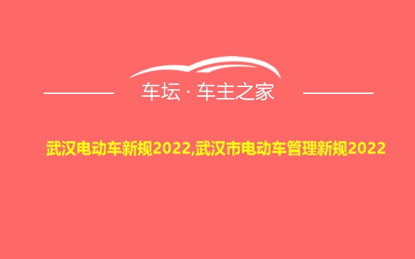 武汉电动车新规2022,武汉市电动车管理新规2022