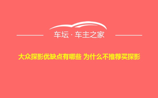 大众探影优缺点有哪些 为什么不推荐买探影