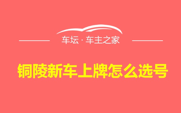 铜陵新车上牌怎么选号