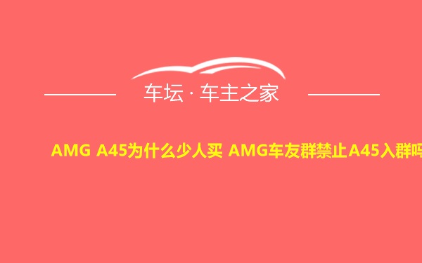 AMG A45为什么少人买 AMG车友群禁止A45入群吗