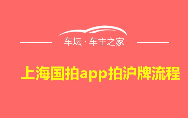 上海国拍app拍沪牌流程