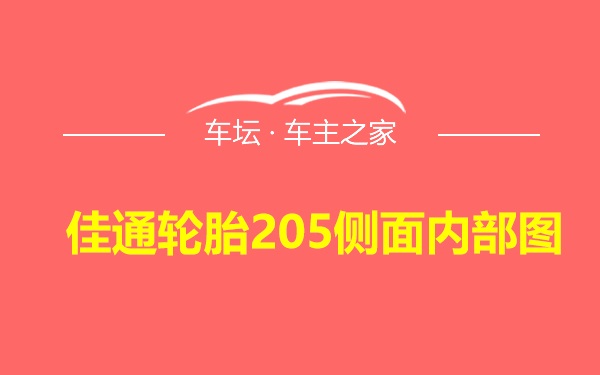 佳通轮胎205侧面内部图