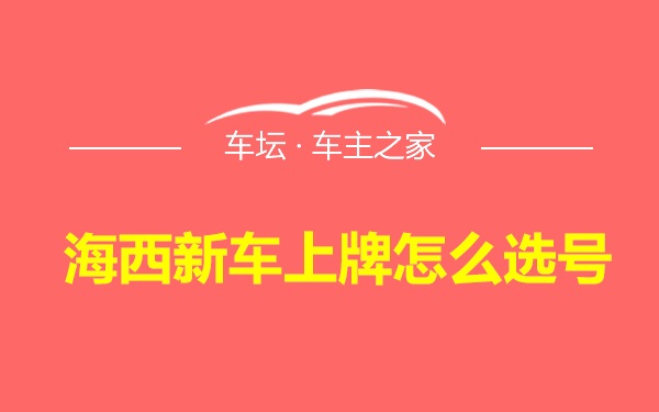 海西新车上牌怎么选号